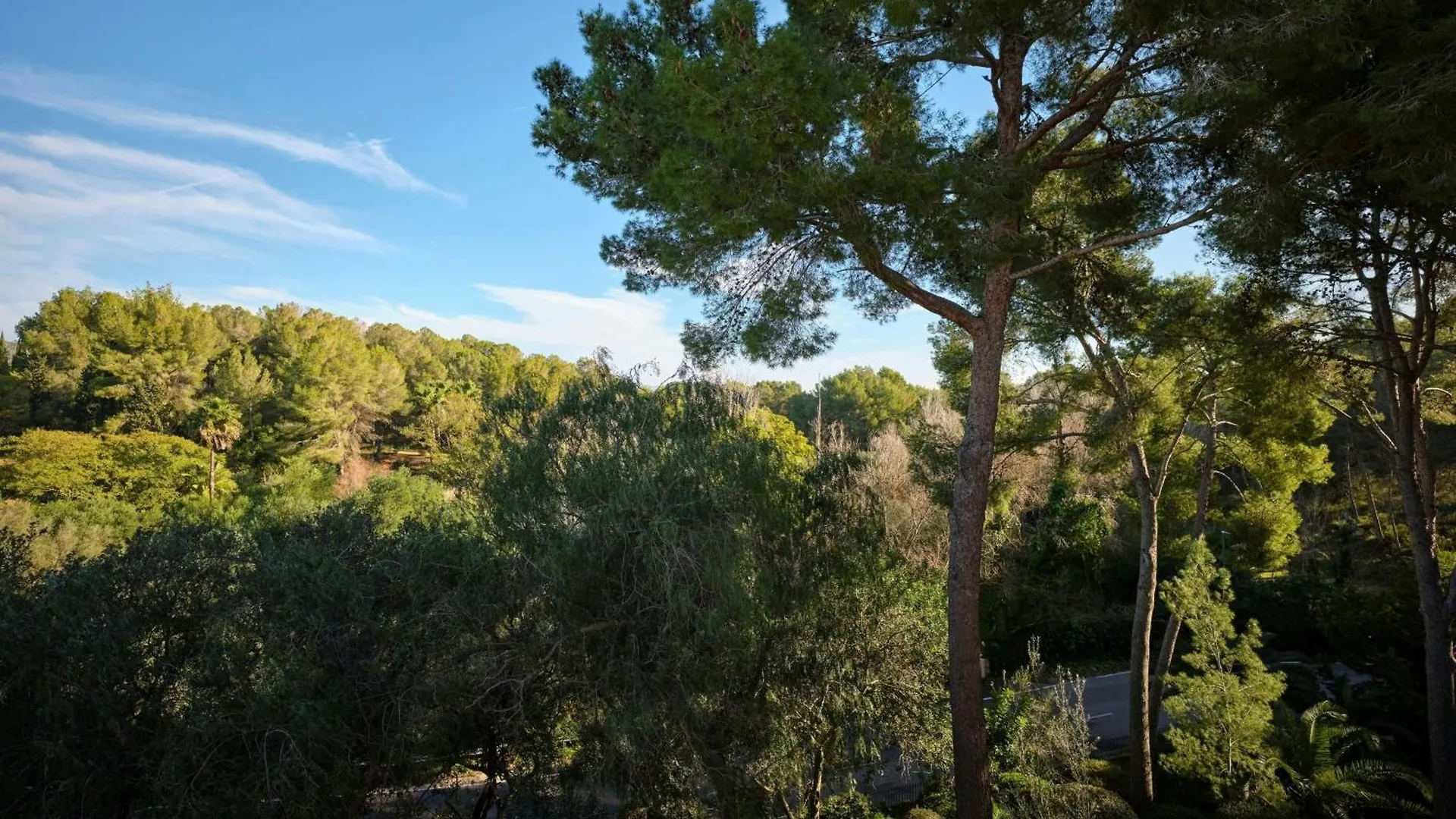 Sheraton Mallorca Arabella Golf Hotel Πάλμα ντε Μαγιόρκα